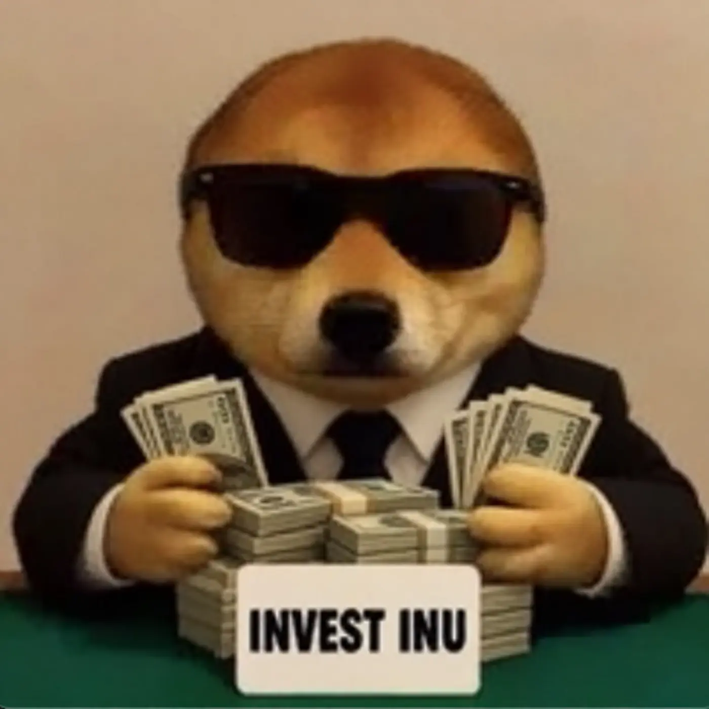 Investor Inu holding cash